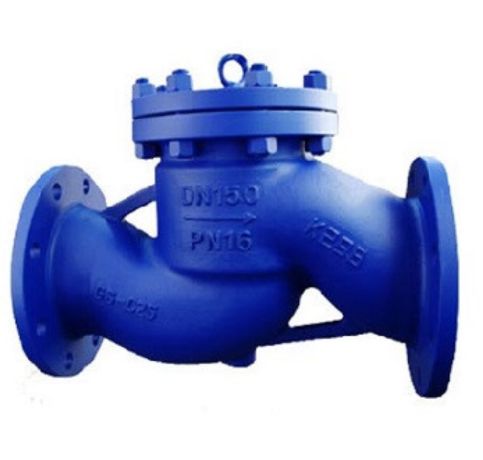 PTFE Lined Check Valve in Egypt